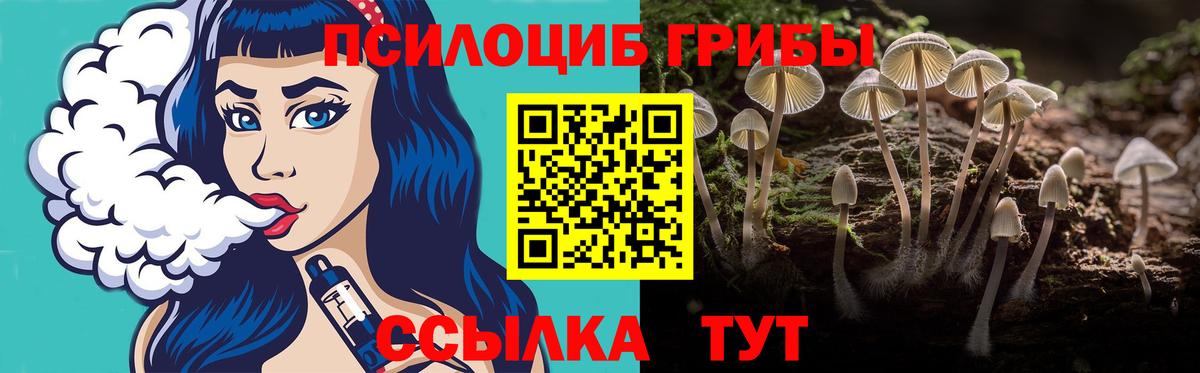 Галлюциногенные грибы MAGIC MUSHROOMS Осинники