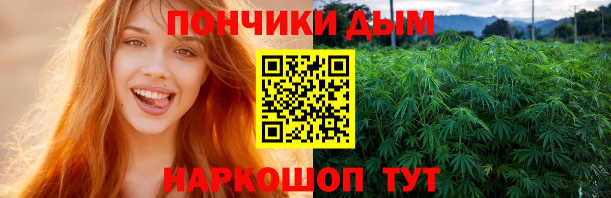 Осинники  Конопля семена  Каннабис сатива  Вход с VPN 